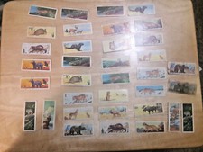 lot of 34 1963 Sugar Daddy American Zoo Animals cards series 1