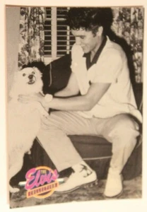 Tarjeta coleccionable Elvis Presley Collection número 567 - Imagen 1 de 2