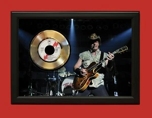 Ted Nugent Cat Scratch Fever Art Poster Wood Framed 45 Gold Record Display C3 - Picture 1 of 3