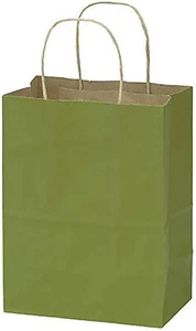 Paper Shopping Gift Bags 100 Rain Forest Green Merchandise 8 ¼” x 4 ¾” x 10 ½ - Picture 1 of 2