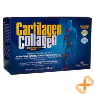 CARTILAGEN COLLAGEN 5000mg 10x50ml Joints Cartilage Bones Muscles Supplement - Picture 1 of 24