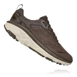 Hoka One One Challenger Low GORE-TEX Talla 12.5 2E - Imagen 1 de 7