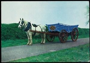 Rutland Wagon A. Williamson Uppingham Rutland Postcard - Picture 1 of 2