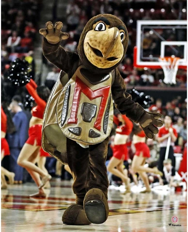 Maryland Terrapins Unsigned Testudo Dancing 16" x 20" Photo - Fanatics Cover