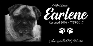 Gedenk Grabmal Granit Plakette menschlicher Grabstein Hund personalisiert Haustier Stein - Bild 1 von 24