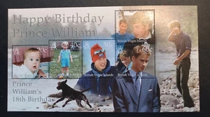 British Virgin Islands 2000 18th Birthday of Prince William MS, MNH - Bild 1 von 1