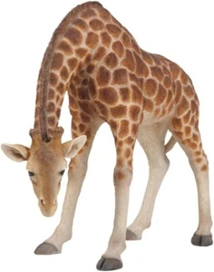 Vivid Arts - Giraffe - Large - Picture 1 of 1