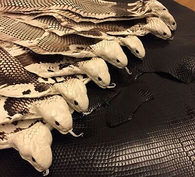 Genuine Snake Skin Asia Cobra Python Snakeskin With Head Hide Leather Taxidermy  • 26.57€