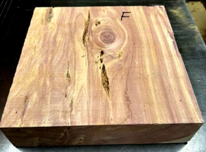 BEAUTIFUL LARGE EASTERN RED CEDAR WOOD BLANK LUMBER CARVE 12" X 12" X 3" F - Picture 1 of 1