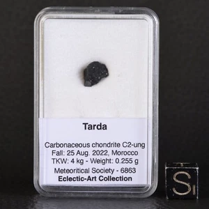 Météorite Tarda 0,255 g chondrite carbonée C2 ungrouped chute observée C2-ung - Imagen 1 de 11