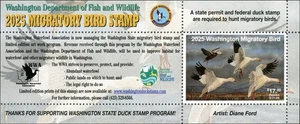WASHINGTON  #40A 2025 STATE DUCK STAMP SNOW GEESE By Diane Ford. FINAL STAMP - Picture 1 of 2
