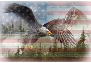 29" X 44" Panel American Wild Flag Bald Eagle Patriotic Cotton Fabric D374.77 - Picture 1 of 1