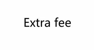 Extra fee04 - Picture 1 of 1