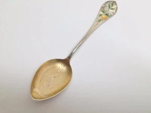 Souvenir Löffel Sterlingsilber viktorianisch Pasadena Kalifornien Orangenblüte 1895 - Bild 1 von 6
