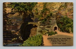 Watkins Glen State Park NY finger lakes tunnel sentry bridge unposted postcard - Picture 1 of 2