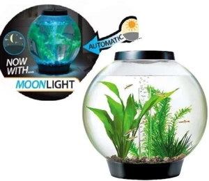 OASE BLACK BABY BIORB MOONLIGHT LED LIGHTING FILTER AQUARIUM FISH TANK - Picture 1 of 1