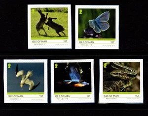 ISLE OF MAN 2019 VIDA SILVESTRE JUEGO DE 5 AUTOADHESIVOS MNH - Imagen 1 de 1