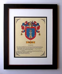 HERALDIK WAPPEN ~ REYES FAMILIENWAPPEN ~ GERAHMT - Bild 1 von 1