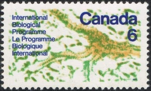1970 CANADA INTERNATIONAL BIOLOGICAL PROGRAM 6¢ STAMP, MINT MNH, Scott #507 - Picture 1 of 4