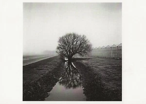 Postcard Paul Hart, Photographer "'Lyn way' from the Series FARMED" MINT - Picture 1 of 1