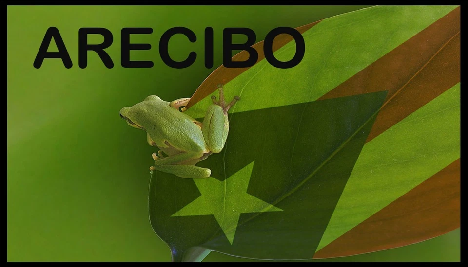 Arecibo Pueblo Puerto Rico Flag Coqui Patch W/  Hook & Loop Fastener - Image 1 of 1