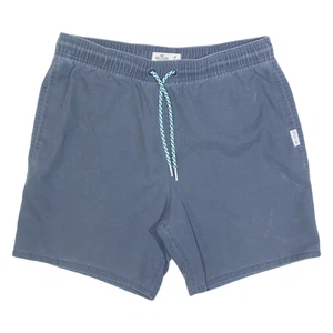 HOLLISTER Mens Casual Shorts Blue M W32 - Picture 1 of 6
