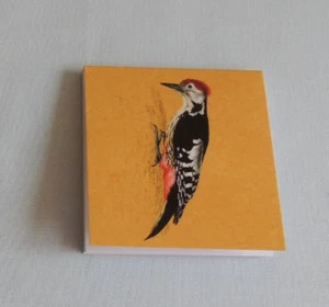 SPECHT  1x Klebezettel Haftnotizen 50 Blatt Notizzettel Vögel J. F. Naumann - Bild 1 von 3
