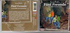 5 FREUNDE und die Höhle des Urmenschen Nr. 95 / Hörspiel / CD / Europa