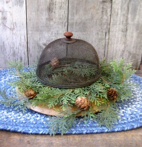 Kleine echte antike Drahtgeflecht Shoofly Lebensmittel Abdeckung Bildschirm Holz Knopf 6-3/4" Durchmesser - Bild 1 von 9