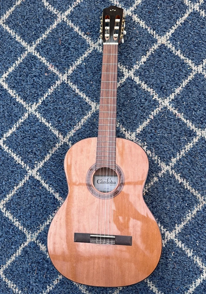Guitarra Acústica Cordoba C5 Cuerda de Nylon Zurda - Cedro - Caoba - Palo de Rosa Foto 1 de 4