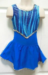 Dance Glitter Velvet Bodice Shorty Unitard & Royal Skirt Silver Sequin  SmCh - Picture 1 of 8