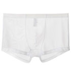 Boxershorts Underpants Panties Briefs Underwear Ultrathin Transparent Mid-Rise
