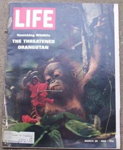 Life Magazine March 28, 1969 Orangutan Wildlife Apollo 9 Alice's Restaurant - Imagen 1 de 1