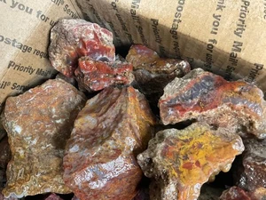 4Z~ Mexican Moss Agate Rough 22 Lb Lot # 1 - Picture 1 of 6