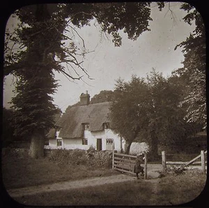 VIKTORIANISCHES magisches Glaslaternen-Dia REETHÄUSCHEN & BÄUME UM 1890 FOTO ENGLAND - Bild 1 von 2