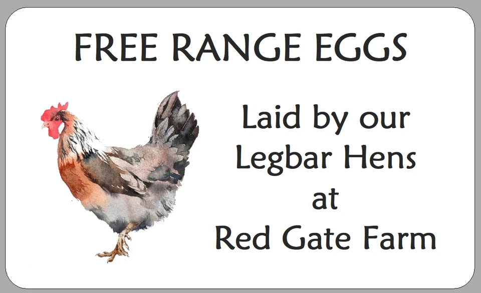 THE LITTLE LABEL COMPANY Legbar Hen Egg Box Labels Small Personalised Watercolour Carton Stickers