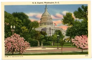 Postal Washington DC US Capitol Spring Flowers lino sin publicar - Imagen 1 de 2