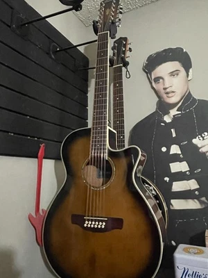 IBANEZ - AEG12 - Guitarra acústica/eléctrica 12 cuerdas Foto 1 de 4