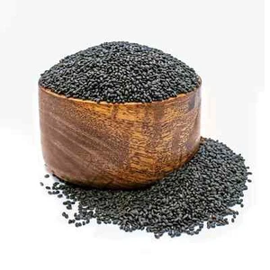 Semillas de albahaca, sabja, tucaria, semillas de albahaca sabja, semillas de sabja enteras envío gratuito - Imagen 1 de 2