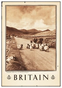 Reproduction Vintage "Northern Island" Travel Poster, Home Art, Size: A2 - Picture 1 of 1