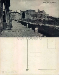 ROMA PROVINCIA-SEGNI-VIA S.STEFANO-C90-65 - Imagen 1 de 1