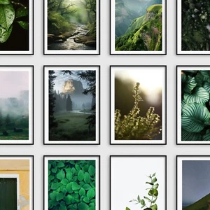 Green Botanical Wall Art Prints Sage Leaves Bedroom Living Room Pictures Posters - Picture 1 of 19