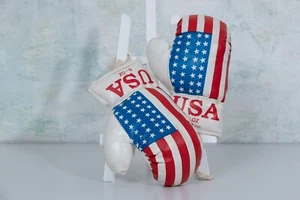 Boxhandschuhe USA - Bild 1 von 2