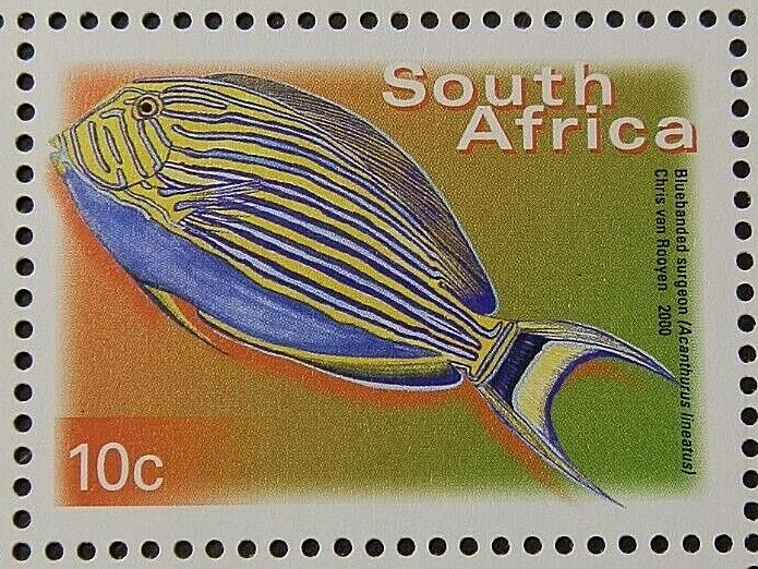 SOUTH AFRICA 2000 SG1206  10c. CLOWN SURGEONFISH -  MNH - Изображение 1 из 1