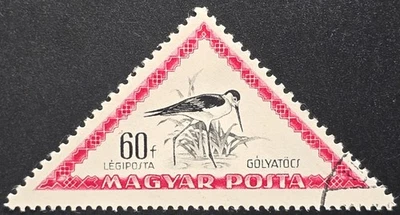 Венгрия - 1960 Scott #C245 черный крылатый свая Gólyatöcs авиапочта - марка - Изображение 1 из 3