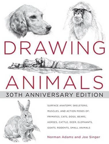 Drawing Animals: 30th Anniversary Edition - Paperback By Adams, Norman - GOOD - Image 1 of 1