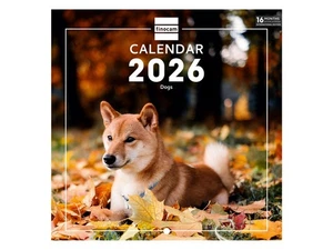 Calendario da parete 2026 18 x 18 cm Mese Vista Gennaio Dicembre 2026 Sep Dic - Foto 1 di 24