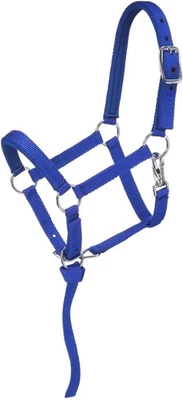 Nylon Padded Miniature Halter - image 1 of 4