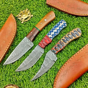 3 Pcs Damascus Blade Skinner Knives Set | 8" | Hard Wood, Leather Sheath IT-695 - Picture 1 of 8