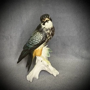 Karl Ens - Porcelain - Peregrine Falcon - Hand-Painted - Matte - Bird Figurine - Picture 1 of 24